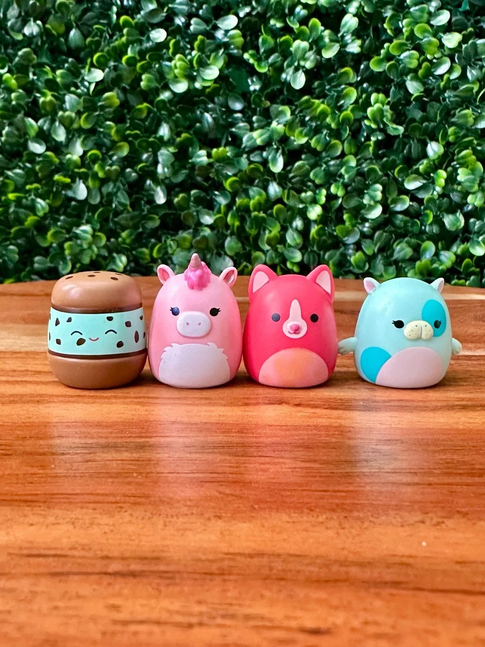 Series 6 Squish-a-longs by Squishmallows Bundle